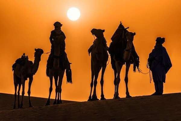 voyage algérie